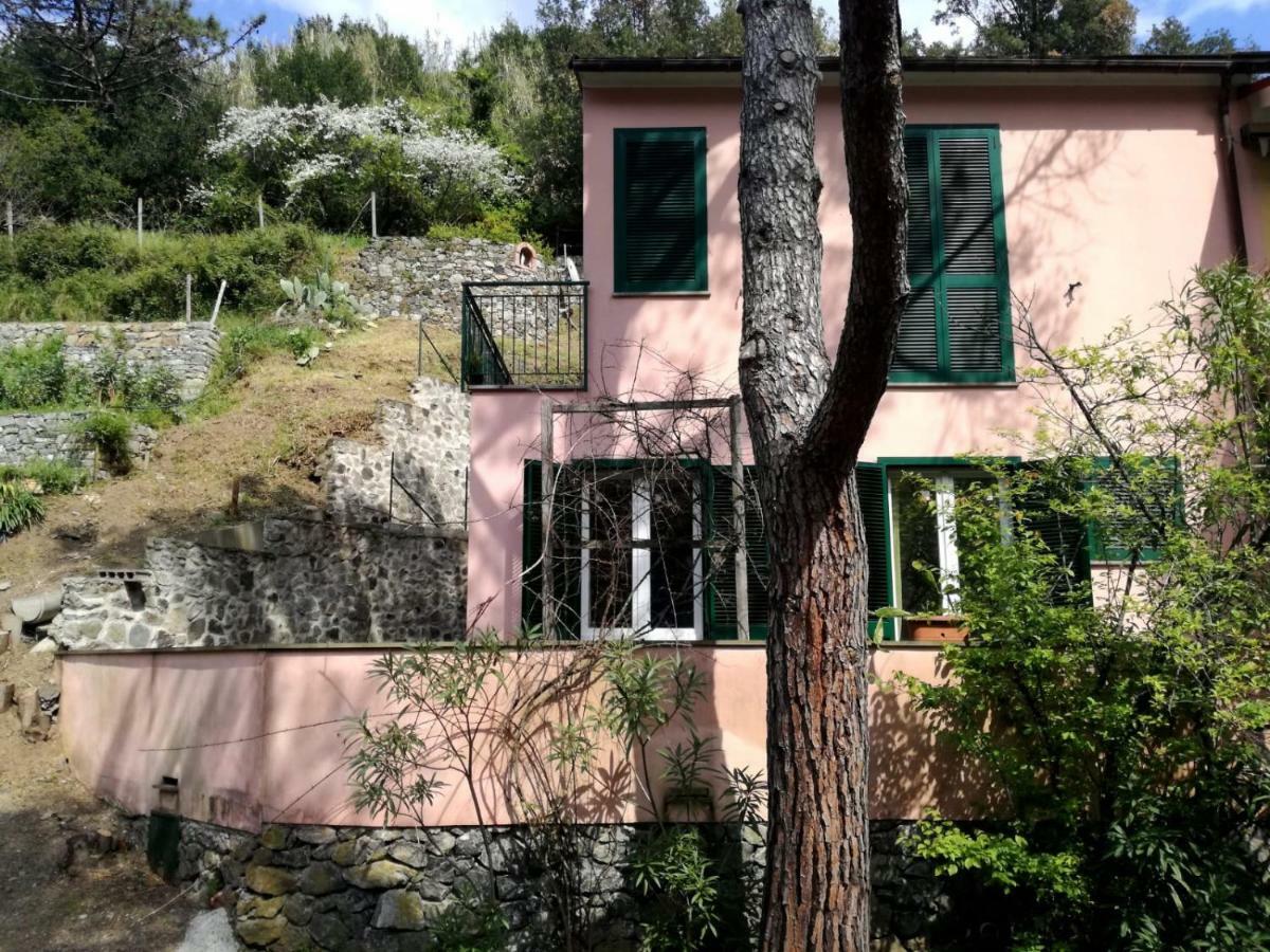 Terrace & Parking - Holiday Home Near Fegina Beach Monterosso al Mare Ngoại thất bức ảnh